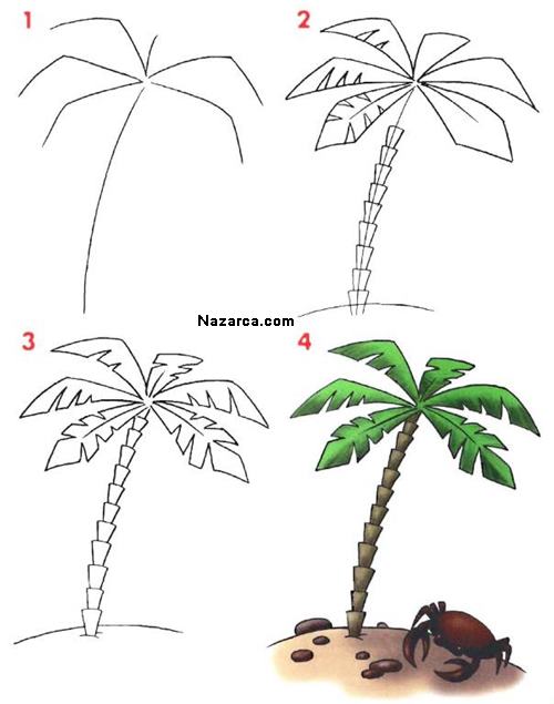 Как нарисовать пальму поэтапно карандашом