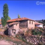 Ataturkun_yasadıgı_ormandaki_evi