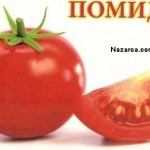 domates-resmi-nazarca