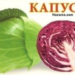lagana-resmi-nazarca