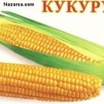 misirresmi-kocani-nazarca
