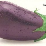 patlican-sebze-resmi-nazarca