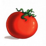 renkli-domates-resimleri