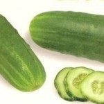 salatalik-sebze-resmi-nazarca
