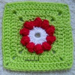 fistik-dolgulu-kare-yesil-kirmizi-beyaz-motif
