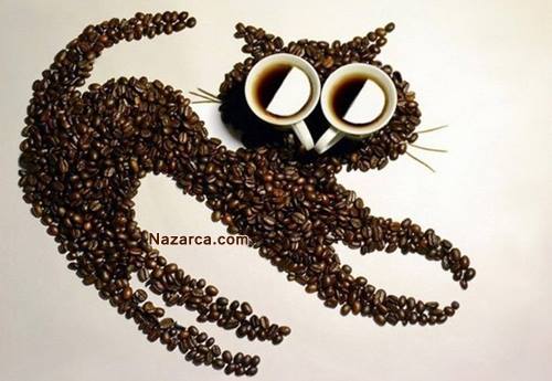 kuru-kahve-cekirdekleri-ile-kedi