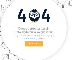 404-sayfa