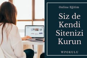 internet-sitesi-kurma-egitimi-wpokulu-alternatif